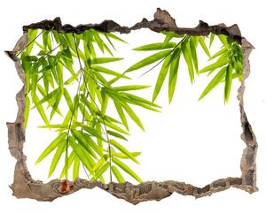 3d-s lyuk vizuális effektusok matrica Bambusz levelek
