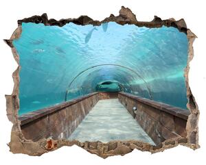 3d-s lyuk vizuális effektusok matrica Az alagút akvárium