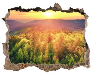 3d-s lyuk vizuális effektusok matrica Forest naplemente