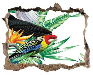 3d-s lyuk vizuális effektusok matrica Trópusi madarak