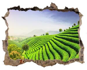 3d-s lyuk vizuális effektusok matrica Tea ültetvény