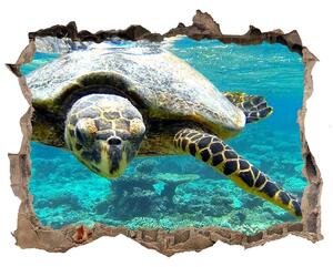 3d-s lyuk vizuális effektusok matrica Tengeri teknős
