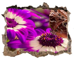 3d-s lyuk vizuális effektusok matrica Pillangó a virágon