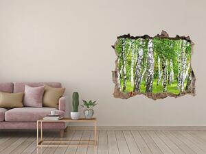 3d-s lyuk vizuális effektusok matrica Nyírfa erdő