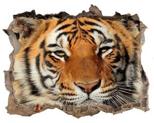 3d lyuk fal dekoráció Bengáli tigris