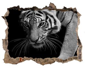 3d lyuk fal dekoráció Tigris