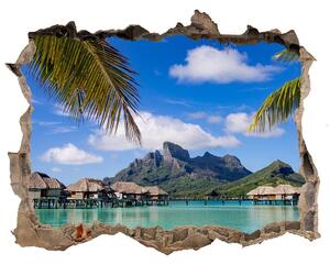 3d lyuk fal dekoráció Pálmafák bora bora