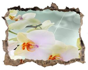 3d lyuk fal dekoráció Fehér orchidea