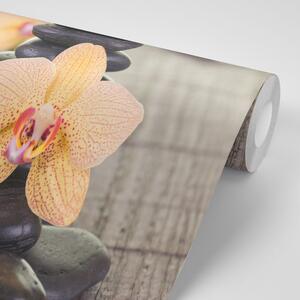 Fotótapéta sárga orchidea Zen kövek