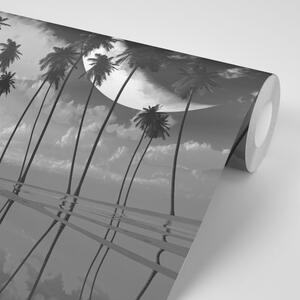 Tapéta naplemente trópusi fálmafák felett fekete fehérben