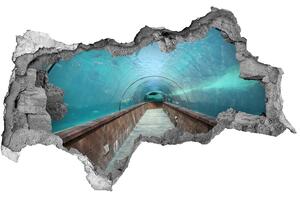 Lyuk 3d fali matrica Az alagút akvárium