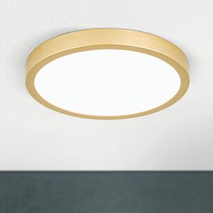 LERO modern LED mennyezeti lámpa, matt arany, 22W, kerek
