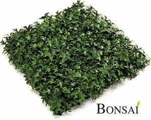 UV-álló zöld falpanel Ivy 50x50 cm teraszra