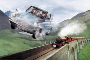 Plakát Harry Potter - Ford, (91.5 x 61 cm)