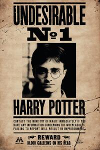 Plakát Harry Potter - Undersirable No.1