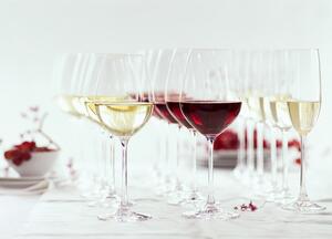 Spiegelau Salute kristály borospohár szett, vörösborhoz, Burgundy, 4 db