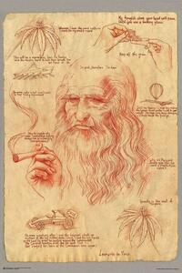 Plakát Leonardo Smoking Pot, (61 x 91.5 cm)