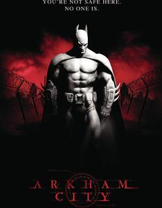 Művészi plakát Batman Arkham City, (26.7 x 40 cm)