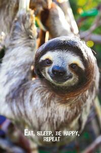 Plakát Smile - Sloth, (61 x 91.5 cm)