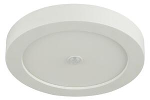 Globo Globo 41605-18S - LED kültéri mennyezeti lámpa PAULA érzékelővel 1xLED / 18W / 230V GL4846