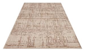 Barna-bézs szőnyeg 170x120 cm Terrain - Hanse Home