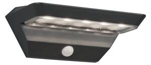 LED kültéri lámpa mozgásérzékelővel (magasság 9 cm) Mendoza – Trio