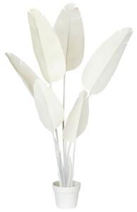 Műnövény BANANA TREE 123 cm Fehér