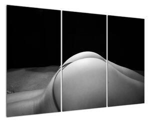 Modern képek (120x80cm)