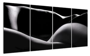 Vászonképek (160x80cm)