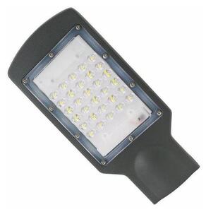 Nedes LED Utcai lámpa LED/30W/230V IP65 ND3336