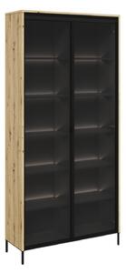 Könyvespolc Fernolu 106, Ajtókkal, Edzett üveg, Közepes sűrűségű farostlemez, Laminált forgácslap, 196x92x34cm, Artisan tölgy, Fekete