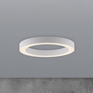 PURE Lines LED mennyezeti lámpa, 35 cm átmérőjű, fehér, CCT, dimmelhető, Fehér / opál, Nappali / Étkező, Alumínium, Modern