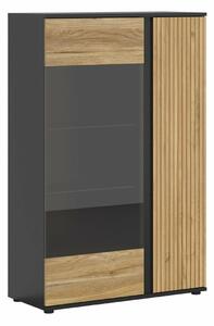 Könyvespolc Lucami 107, Ajtókkal, Zárt, Üveg, Laminált forgácslap, 146x95x40cm, Tölgy, Fekete