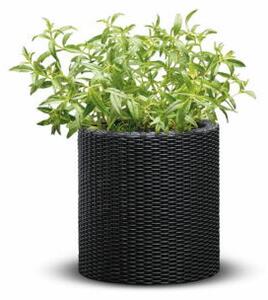 Small cylinder planter műanyag kaspó, antracit színű