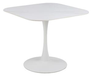 Asztal Norsica 690, 75x90cm, Fehér, Fehér márvány