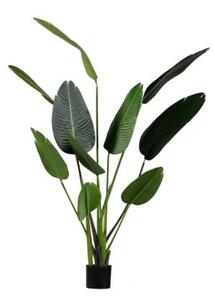 Strelitzia műnövény 164 cm