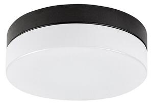 Rabalux Rabalux 75025-LED Fürdőszobai mennyezeti lámpa GAELO LED/15W/230V átm. 23 cm fekete RL75025