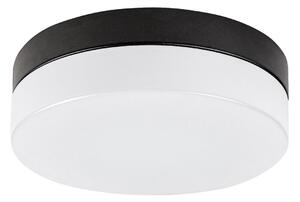 Rabalux Rabalux 75026-LED Fürdőszobai mennyezeti lámpa GAELO LED/18W/230V átm. 28 cm fekete RL75026