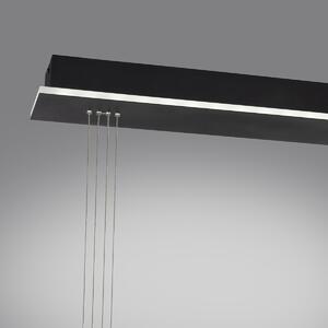 Smart hanglamp zwart 2-lichts met afstandsbediening - Loena