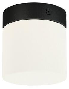 Nowodvorski Lighting Cayo mennyezeti lámpa 1x40 W fehér-fekete 8055