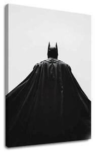 Kép BATMAN: Az éjszaka őrzője | Olasz vászon