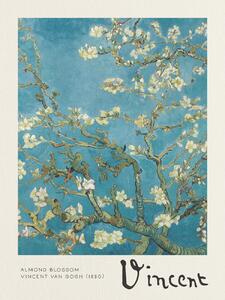 Festmény reprodukció Mandulavirágok, (30 x 40 cm)