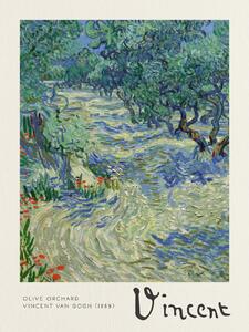 Reprodukció Olive Orchard - Vincent van Gogh, (30 x 40 cm)