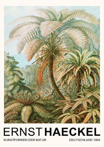 Festmény reprodukció Filicinae–Laubfarne / Rainforest Trees (Vintage Academia) - Ernst Haeckel, (30 x 40 cm)