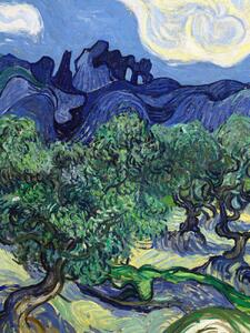 Festmény reprodukció The Olive Trees (Portrait Edition) - Vincent van Gogh, (30 x 40 cm)