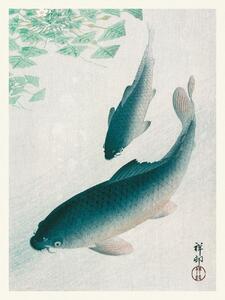 Festmény reprodukció Two Carp Fish (Japandi Vintage) - Ohara Koson, (30 x 40 cm)