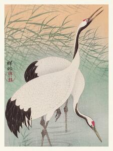 Festmény reprodukció Two Cranes (Japandi Vintge) - Ohara Koson, (30 x 40 cm)