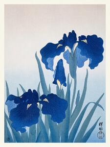 Reprodukció Blue Iris Flowers (Japandi Vintage) - Ohara Koson, (30 x 40 cm)