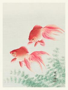 Reprodukció Two Veil Goldfish (Japandi Vintage) - Ohara Koson, (30 x 40 cm)