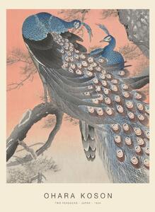 Festmény reprodukció Two Peacocks (Special Edition) - Ohara Koson copy, (30 x 40 cm)
